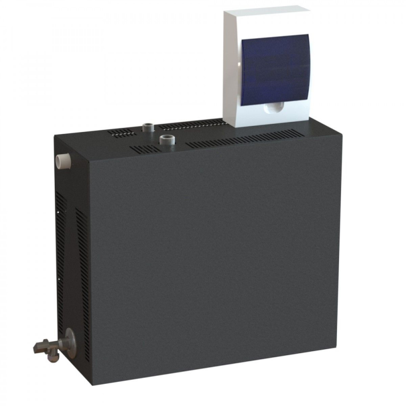 Парогенератор проточный c выносным/встроенным цифровым пультом управления, 9 кВт Парогенератор проточный c выносным/встроенным цифровым пультом управления, 9 кВт